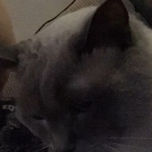 Meet your Posher, Patricia